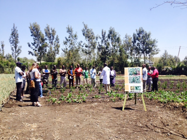 Arifu (Akengo Corp.)