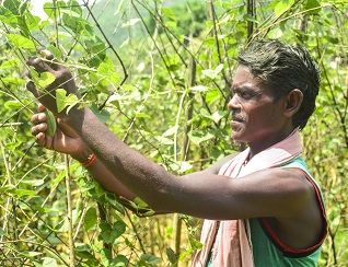 Blooom International, AG