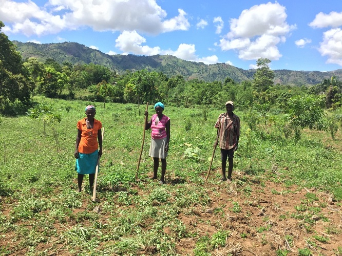 Blooom International, AG