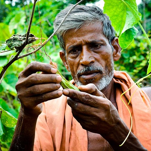 Blooom International, AG