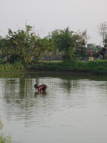 Bangladesh Shrimp & Fish Foundation (BSFF)