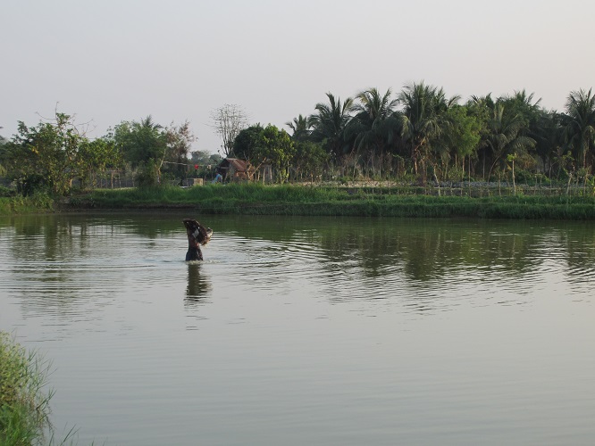 Bangladesh Shrimp & Fish Foundation (BSFF)