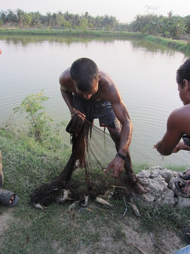 Bangladesh Shrimp & Fish Foundation (BSFF)