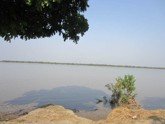 Bangladesh Shrimp & Fish Foundation (BSFF)