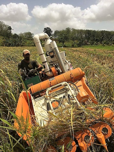 Caribbean Sea and Air Marketing (CSAM)