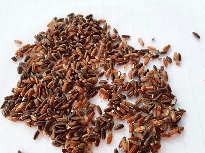 Caribbean Sea and Air Marketing (CSAM)