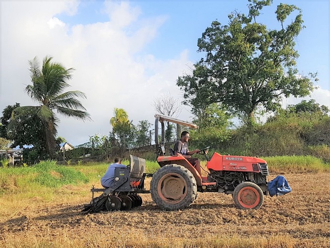 Caribbean Sea and Air Marketing (CSAM)