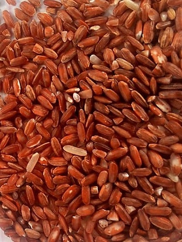 Caribbean Sea and Air Marketing (CSAM)