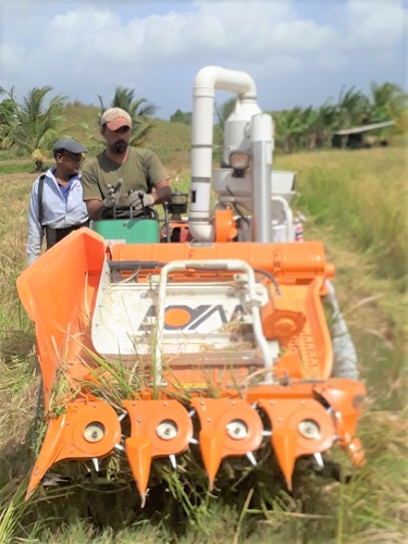 Caribbean Sea and Air Marketing (CSAM)