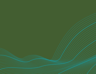 Emerging Enterprises