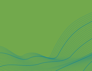 Emerging Enterprises