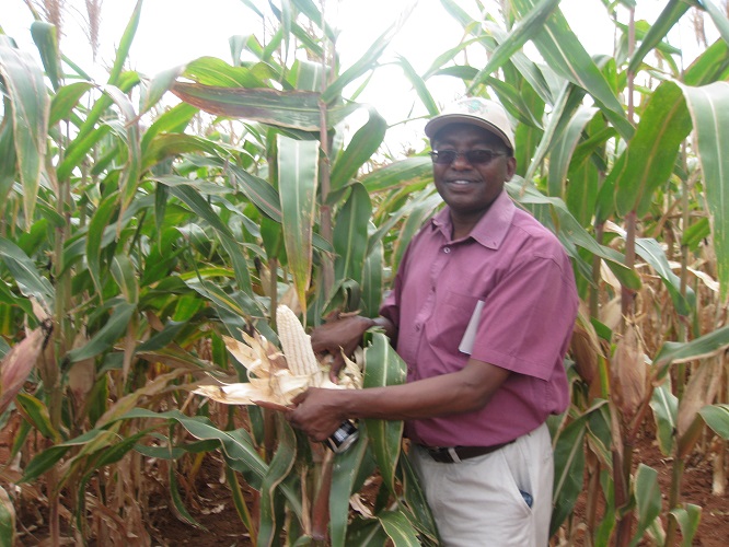 Dryland Seed Limited