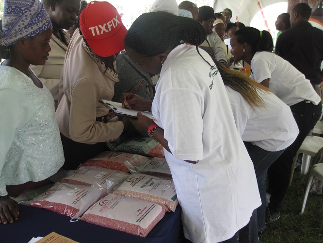 Dryland Seed Limited