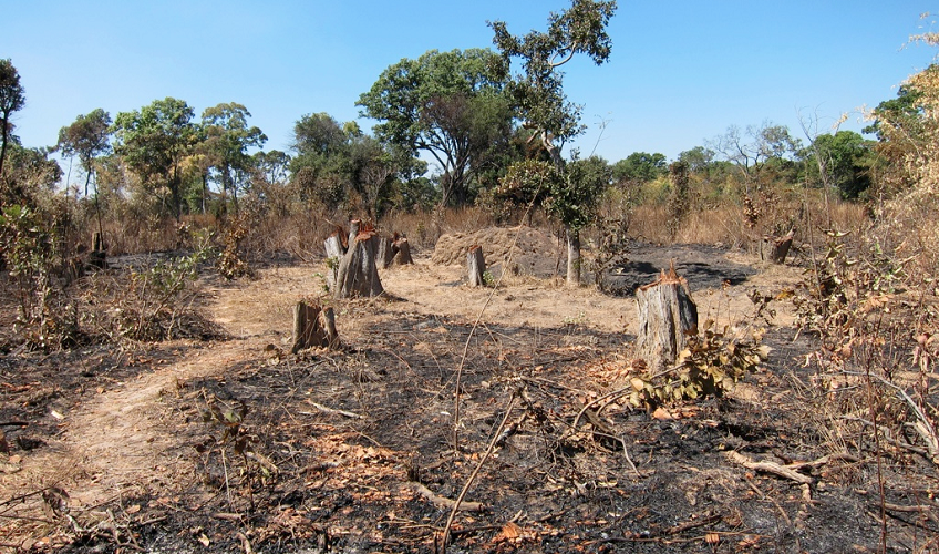 Emerging Cooking Solutions (ECS)