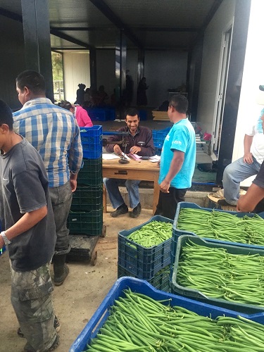 Enterprise Projects Ventures Limited