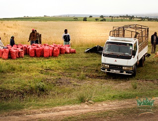 Farm Concern International (FCI) 