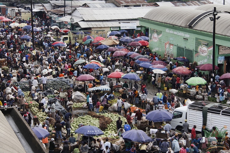 Farm Concern International (FCI) 