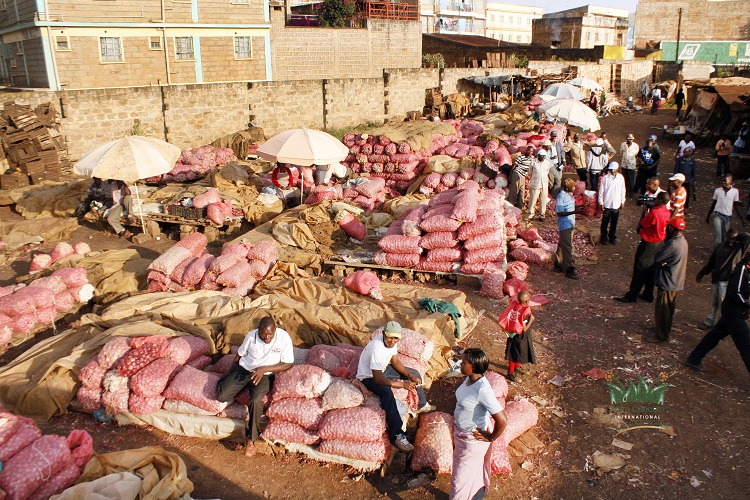 Farm Concern International (FCI) 