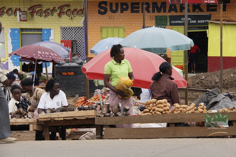 Farm Concern International (FCI)