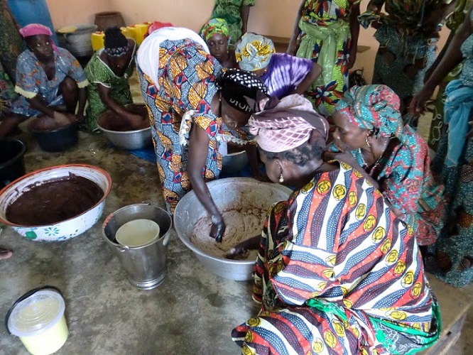 Global Shea Alliance