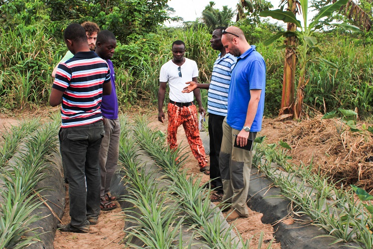 Green Village Plan Development