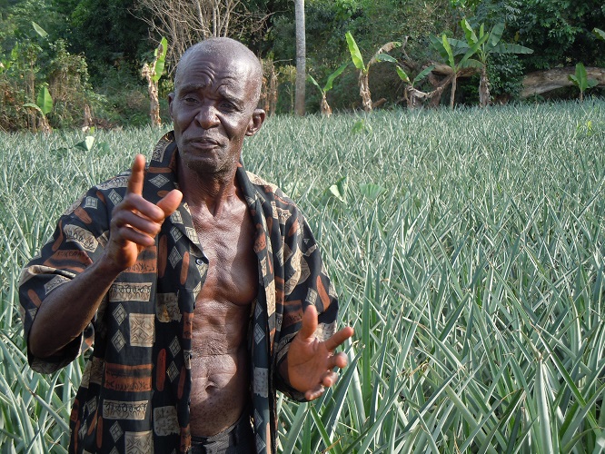 Green Village Plan Development