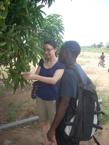 Green Village Plan Development