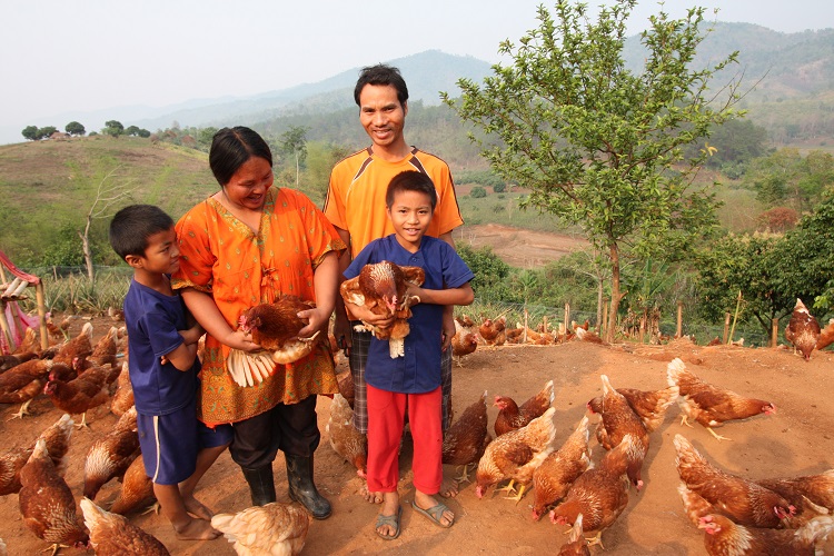 Hilltribe Organics Limited