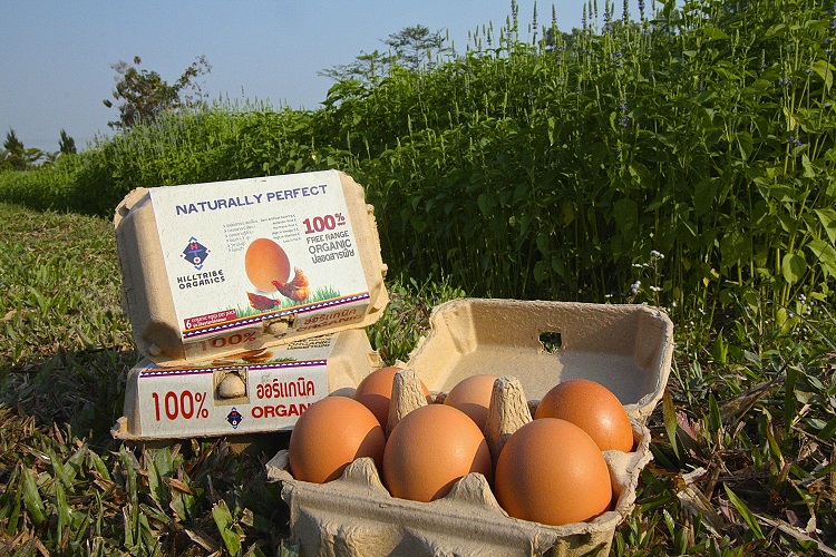 Hilltribe Organics Limited