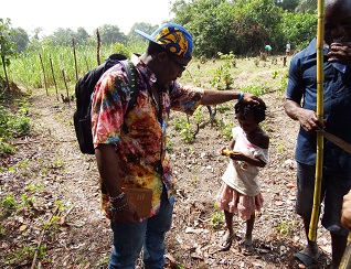 Icarus International