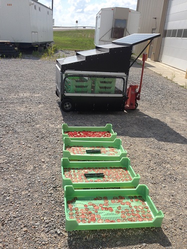 Jua Technologies International LLC