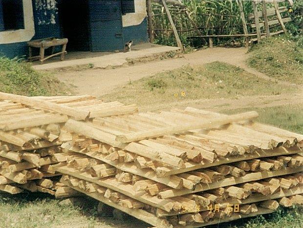 Kenya Forest Growers Association