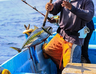 Kumbatia Seafood Ltd 