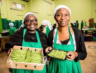 Miyonga Fresh Greens