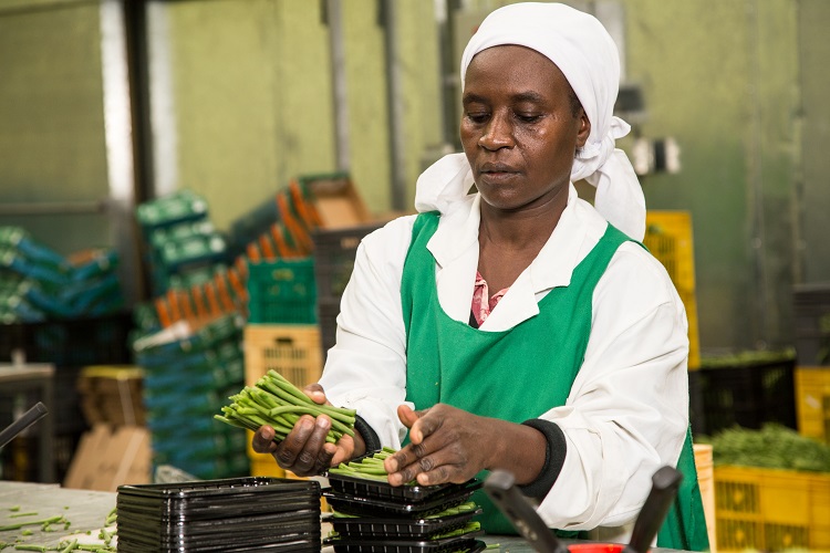 Miyonga Fresh Greens