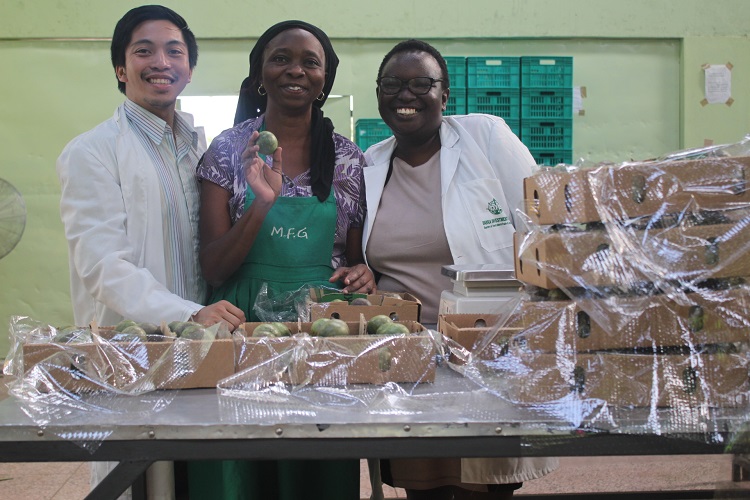 Miyonga Fresh Greens