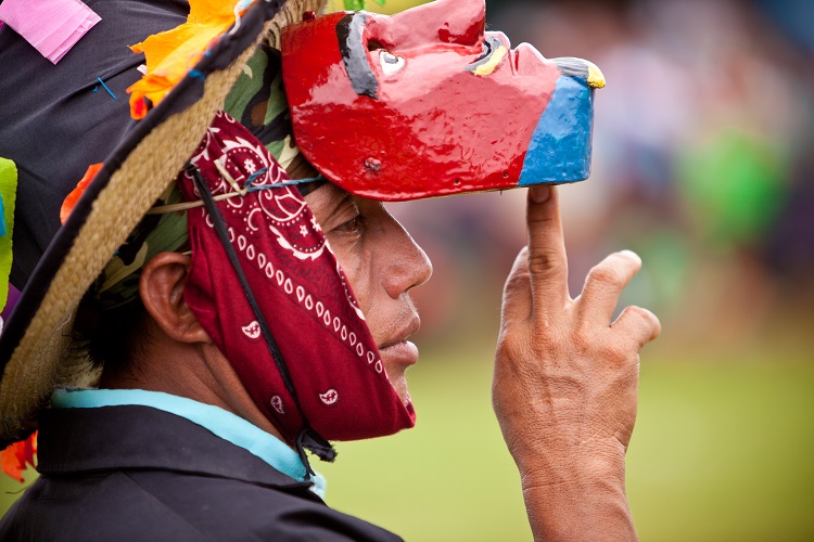 Maya Leaders Alliance