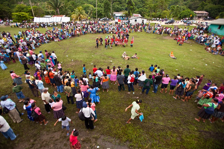 Maya Leaders Alliance