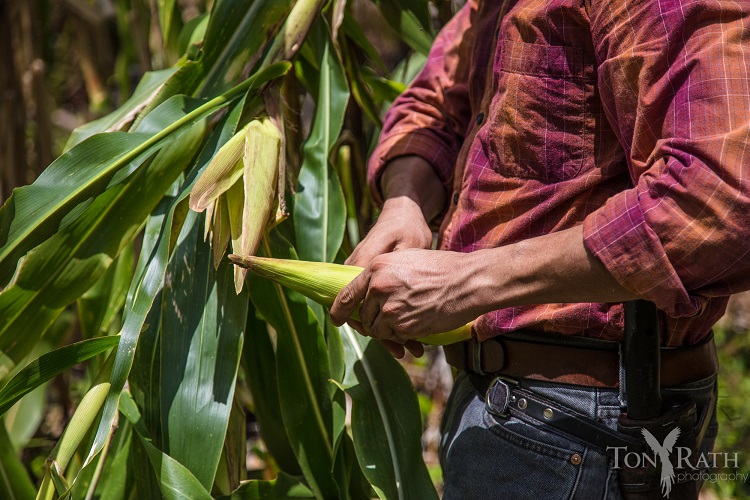 Maya Leaders Alliance