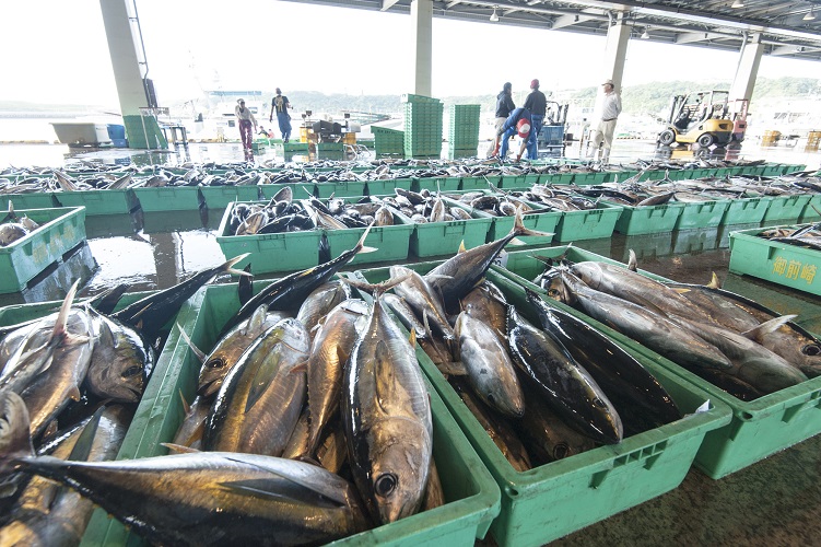 Organisation of Eastern Caribbean States (OECS)