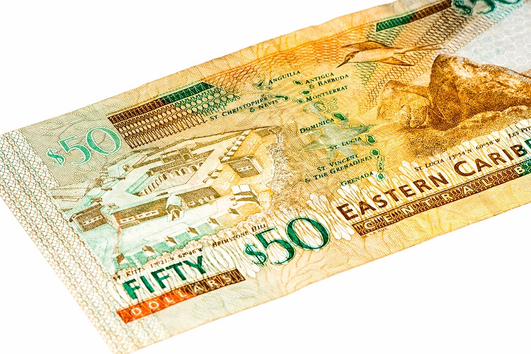 Organisation of Eastern Caribbean States (OECS)