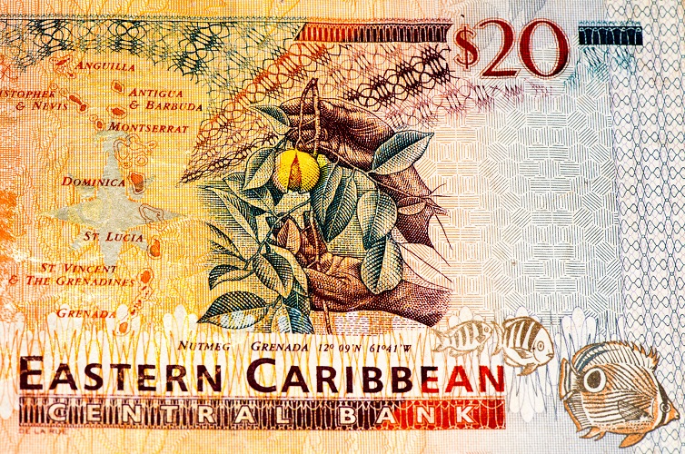 Organisation of Eastern Caribbean States (OECS)