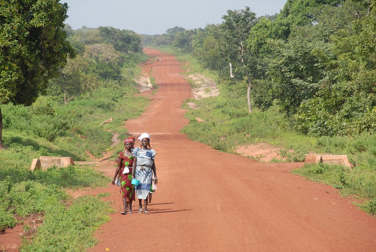 Solar Electric Light Fund (SELF)