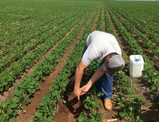 Solubio Tecnologias Agrícolas