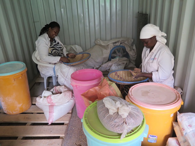 Stawi Foods and Fruits Limited