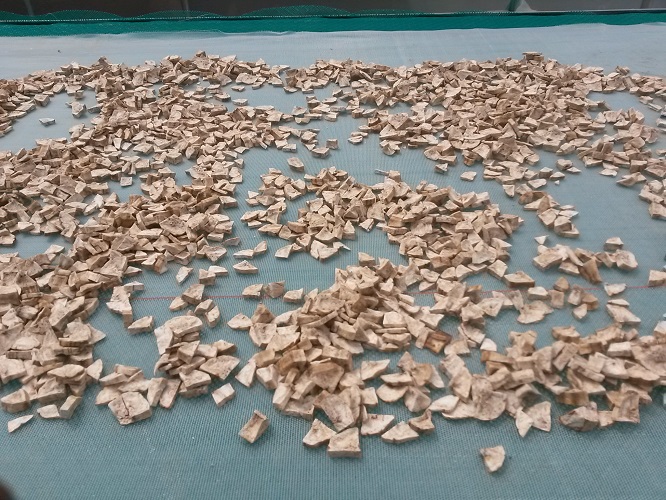 Stawi Foods and Fruits Limited