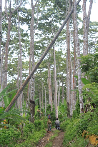 Sustainable Trade & Consulting (STC)