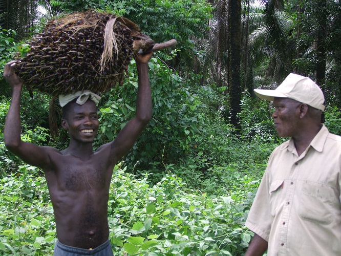 Sustainable Trade & Consulting (STC)