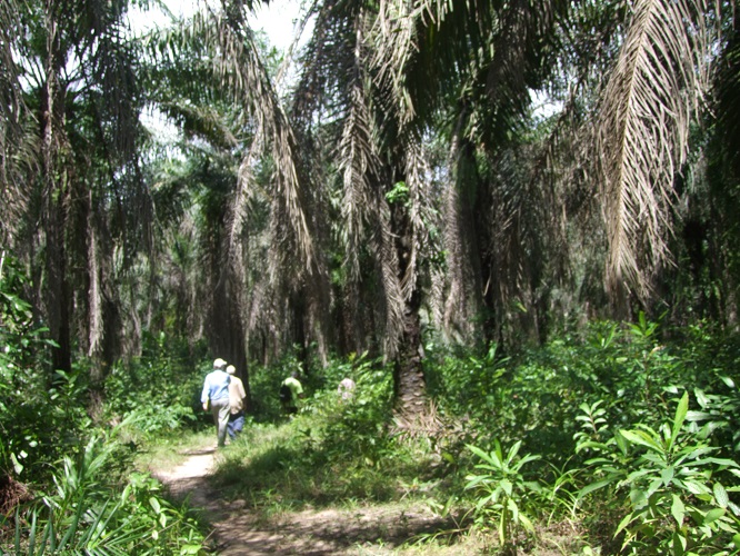 Sustainable Trade & Consulting (STC)