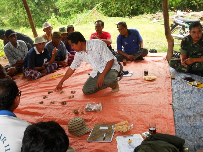 Sustainable Trade & Consulting (STC)